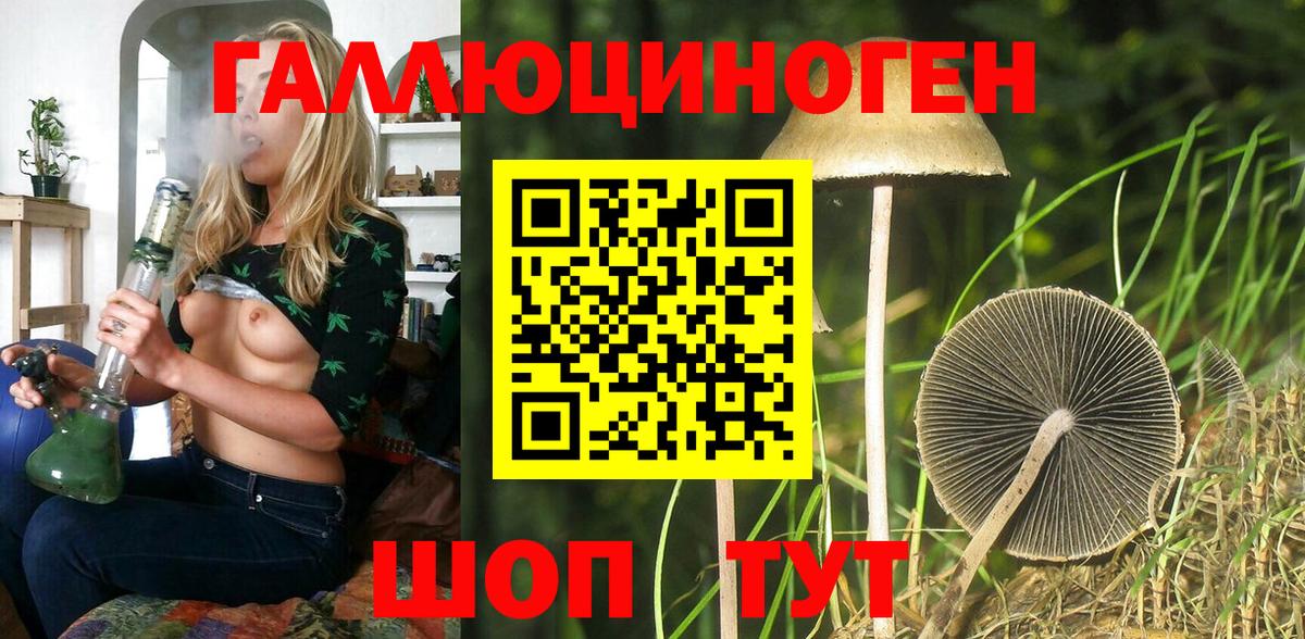 Псилоцибиновые грибы прущие грибы Кандалакша